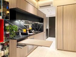 Irwell Hill Residences (D9), Apartment #496345101